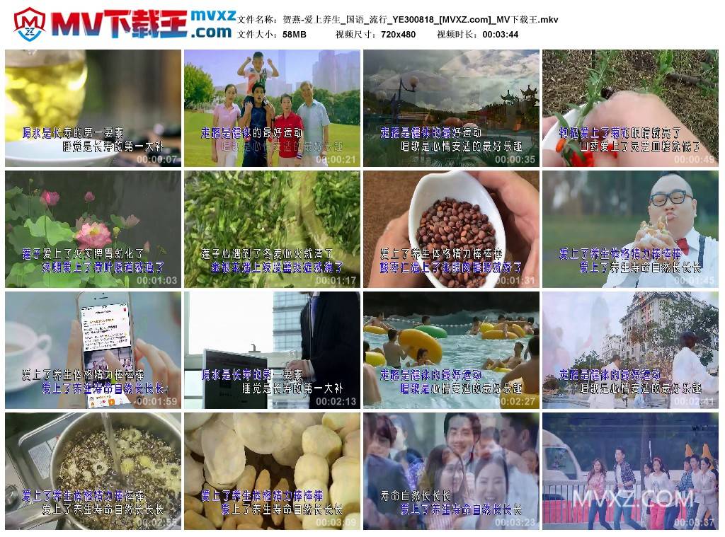 贺燕-爱上养生_国语_流行_YE300818